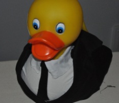 Duck Suit (original design)